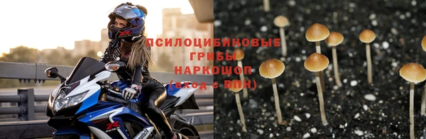 а пвп мука Бородино