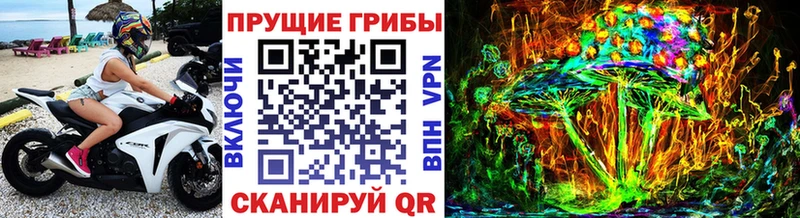 Псилоцибиновые грибы Psilocybine cubensis  Абакан 