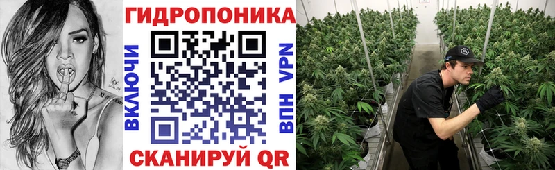 наркотики  Абакан  МАРИХУАНА планчик 